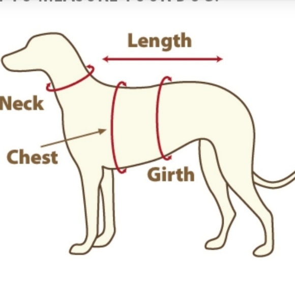 Sugar Skull Small Dog Halloween Costume Loungewear - Picture 2 of 2